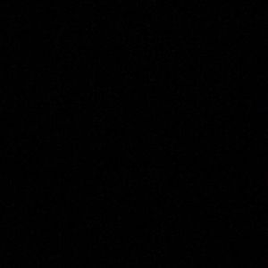 Meet your Posher, Kylie